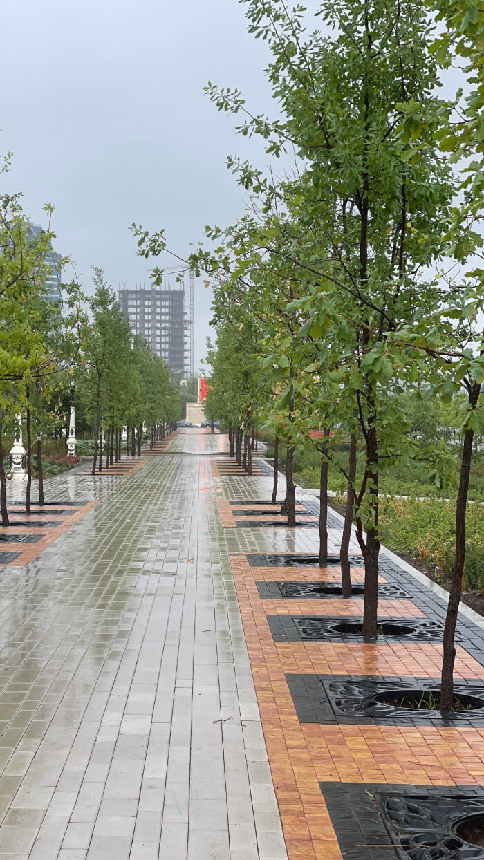 Приствольная решетка для дерева ZKING CRUST 1.2х1.2м Черная в Северодвинске фото