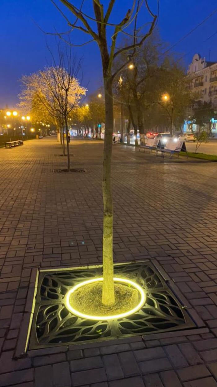 Приствольная решетка для дерева ZKING CRUST 1.2х1.2м Черная в Северодвинске фото